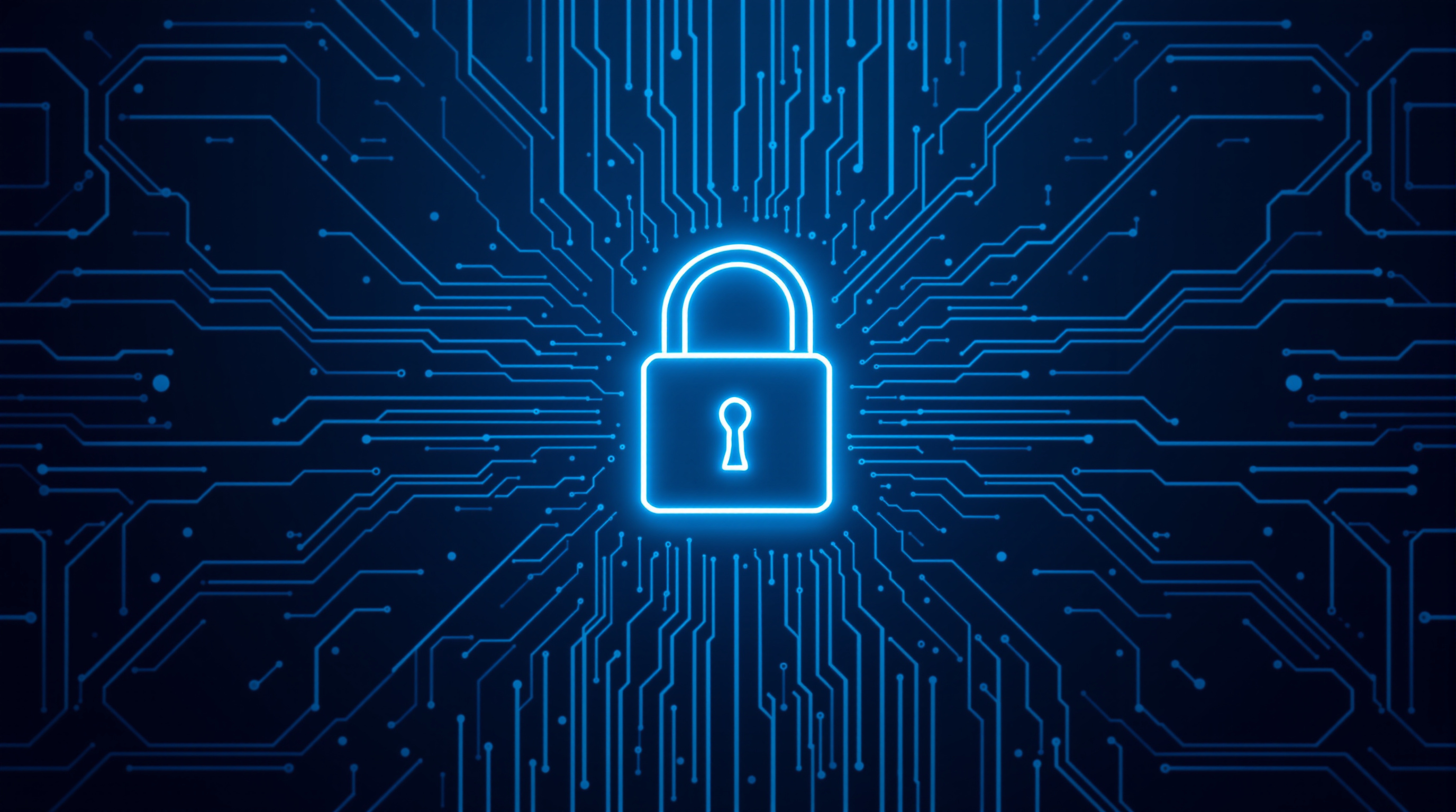Security and privacy software